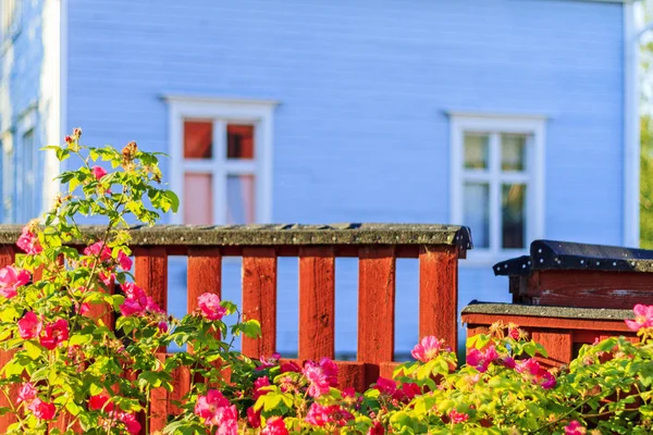 Fence near the house and red roses — Stock Photo, Image