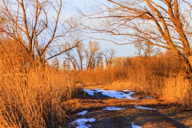 Bahar ülkede yol günbatımı ışınları