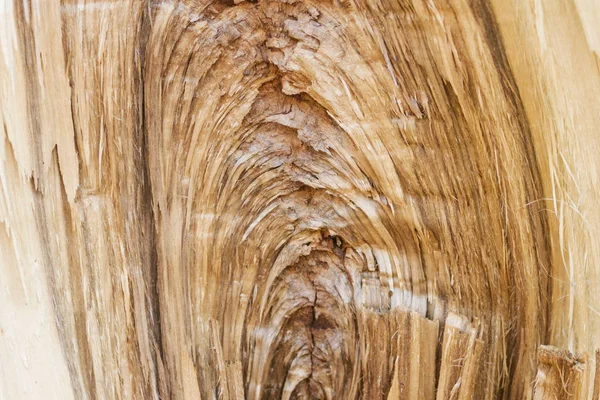 texture of broken wood fiber