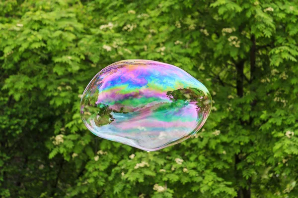 自然の背景に大きな石鹸の泡 — ストック写真