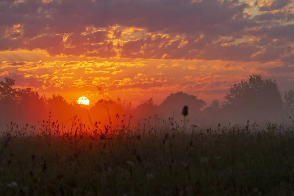 Magnifique lever de soleil d'automne dans le domaine — Photo
