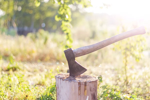 Ax clogged in a stump at dawn — Stock Photo, Image