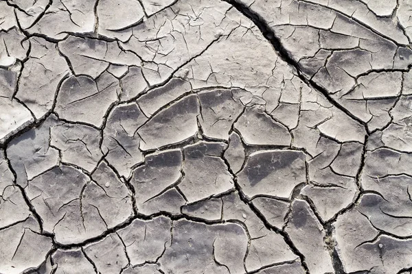 乾燥した湖のひび割れた地球の質感 — ストック写真