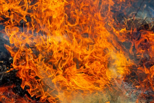 Belle fiamme su nero bruciato terra — Foto Stock