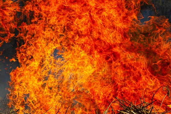 Quemaduras de campo durante la sequía y el fuerte viento — Foto de Stock