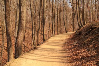 Harpers Ferry Milli Tarih Parkı içinde yorucu ama ödüllendirici Maryland Heights iz muhteşem manzarası, eski şehir, Harpers Ferry Batı Virginia devlet maceracı sunar