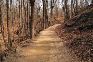 Shenandoah Nehri bakan, Jefferson Rock Harpers Ferry Batı Virginia, Virginia ve Maryland'deki Milli Tarih Parkı geçer Appalachian Trail boyunca önemli bir dönüm noktası olduğunu