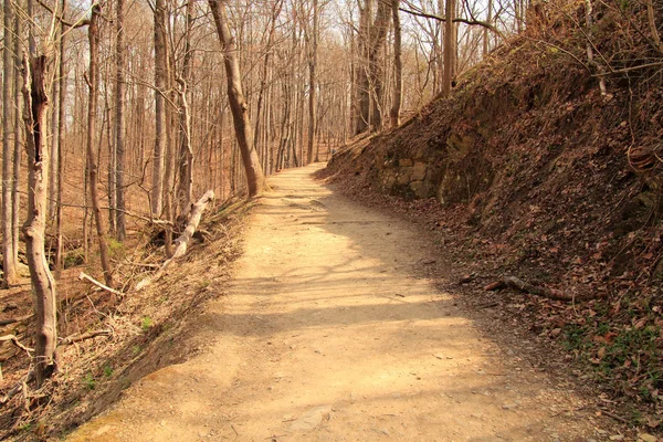 Harpers Ferry Milli Tarih Parkı içinde yorucu ama ödüllendirici Maryland Heights iz muhteşem manzarası, eski şehir, Harpers Ferry Batı Virginia devlet maceracı sunar