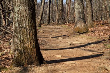 Stony adam iz kısa ve hoş bir yürüyüş ve en iyi görüş, Appalachian Mountain aralığı Shenandoah Milli Parkı'nda Virginia devlet sunmaktadır