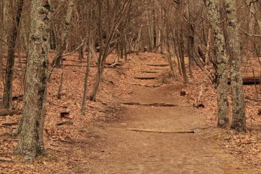 Stony adam iz kısa ve hoş bir yürüyüş ve en iyi görüş, Appalachian Mountain aralığı Shenandoah Milli Parkı'nda Virginia devlet sunmaktadır