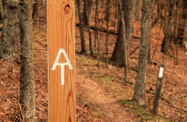 Appalachian Trail Blue Ridge Parkway Virgínia — Fotografia de Stock