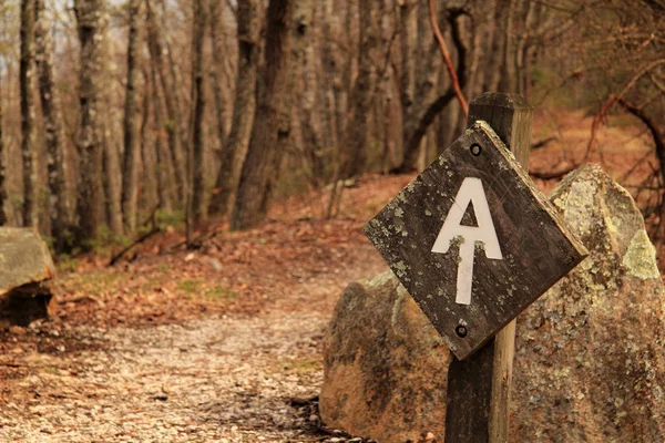 Szlak Appalachów Blue Ridge Parkway Virginia — Zdjęcie stockowe