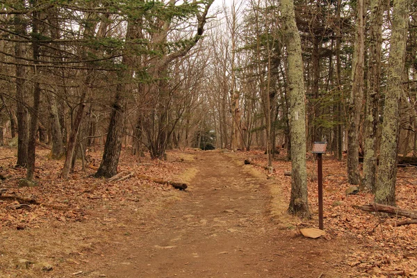 Appalachian Trail in Shenandoah National Park in the state of Virginia