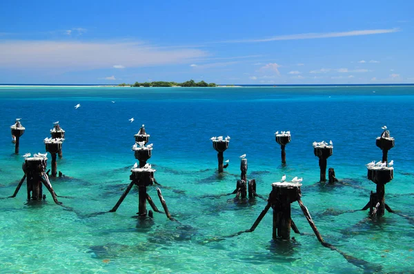 Fort Jefferson Tarihi Kömür Rıhtım Kalıntıları Bazı Kuru Tortugas Milli — Stok fotoğraf