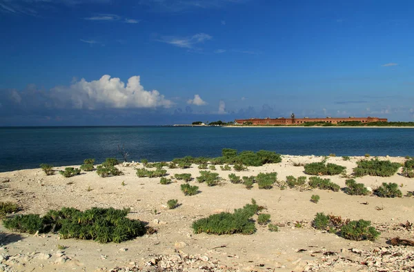 Gelegen Tuin Sleutel Dry Tortugas Nationaalpark Fort Jefferson Misschien Wel — Stockfoto