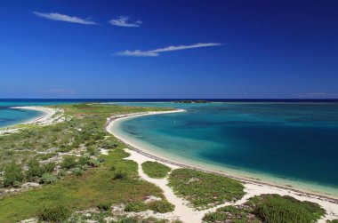 Kuru Tortugas Milli Parkı, Florida Keys anahtarında güzel Bush