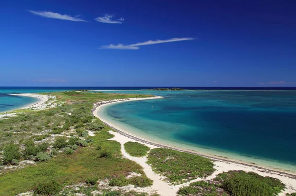 Kuru Tortugas Milli Parkı, Florida Keys anahtarında güzel Bush