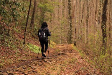 Elkmont, Tn - 9 Nisan: Bir kadın uzun yürüyüşe çıkan kimse onun yol boyunca salatalık Gap iz büyük Smokey Dağları Milli Parkı, Elkmont bölümünde 9 Nisan 2018 Elkmont, TN yapar