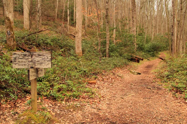 Scenic Cucumber Gap Trail Moderate Strenuous Hiking Path Located Elkmont — Stock Photo, Image