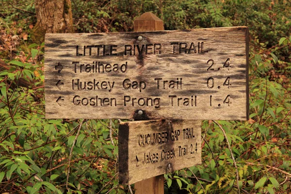 Little River Trail Offers Easy Scenery Filled Hike Follows Course — Stock Photo, Image