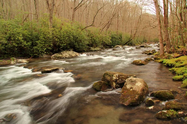 Частково Великий Смоук Гори Пропонує Національного Парку Маленькі Річки Деяких — стокове фото