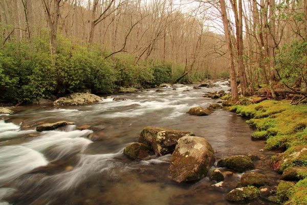 Частково Великий Смоук Гори Пропонує Національного Парку Маленькі Річки Деяких — стокове фото