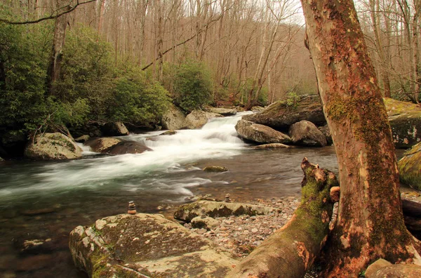 Parte Situato Nel Great Smokey Mountains National Park Little River — Foto Stock