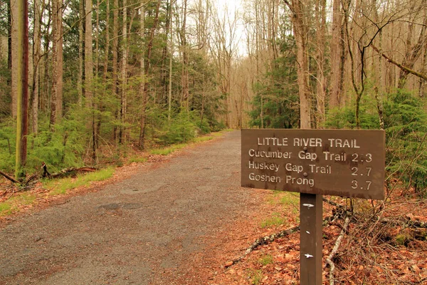 Little River Trail Offers Easy Scenery Filled Hike Follows Course — Stock Photo, Image