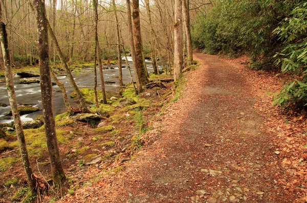 Маленькі Річки Trail Пропонує Легкий Пейзажі Заповнені Похід Наступна Курс — стокове фото