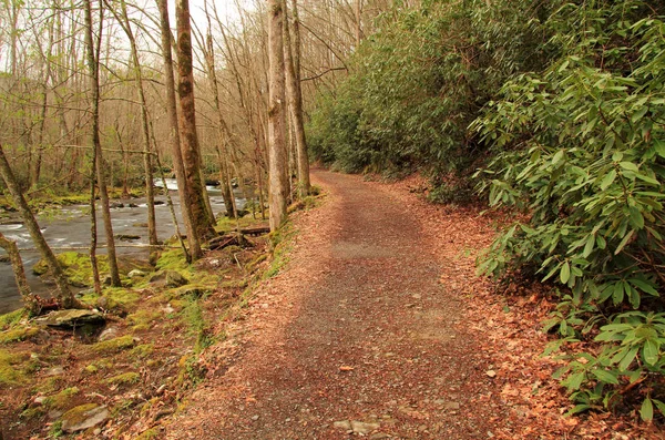 Den Lilla Floden Trail Erbjuder Lätt Och Vacker Natur Fylld — Stockfoto