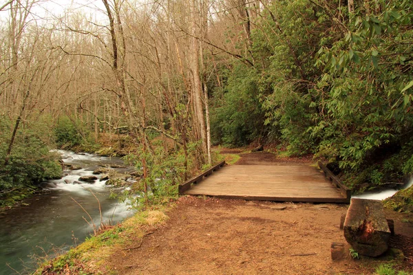Little River Trail Предлагает Легкий Живописный Поход Течению Маленькой Реки — стоковое фото