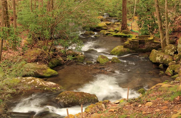 Old Ruins Dot Banks Little River Makes Its Way Elkmont — Stock Photo, Image