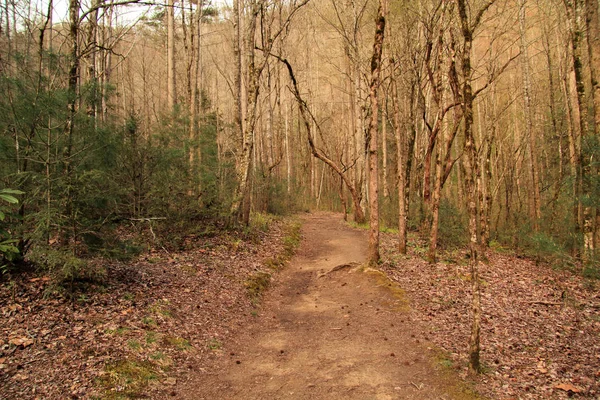 Meigs Creek Trail Помірними Назад Стежка Які Будуть Доступні Раковини — стокове фото