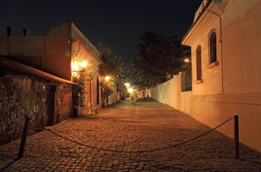 Colonia Del Sacramento, Uru Nisan 24: Calle de las Flores Colonia Del Sacramento Nisan 24, 2019 Colonia Del Sacramento, Uru ile meander çok sayıda antika arnavut kaldırımlı sokaklardan biridir