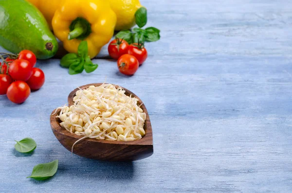 Fresh sprouts of bean seeds. — Stock Photo, Image