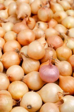 Çiğ küçük soğan