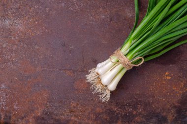 Paslı arka planda yeşil soğan yaprakları. Tasarım konsepti. Seçici odak.