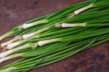 Paslı arka planda yeşil soğan yaprakları. Tasarım konsepti. Seçici odak.