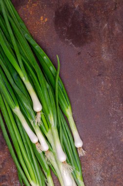 Paslı arka planda yeşil soğan yaprakları. Tasarım konsepti. Seçici odak.
