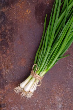 Paslı arka planda yeşil soğan yaprakları. Tasarım konsepti. Seçici odak.