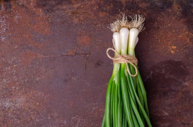 Paslı arka planda yeşil soğan yaprakları. Tasarım konsepti. Seçici odak.