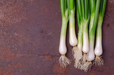 Paslı arka planda yeşil soğan yaprakları. Tasarım konsepti. Seçici odak.