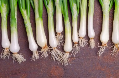 Paslı arka planda yeşil soğan yaprakları. Tasarım konsepti. Seçici odak.