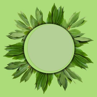 Defne yapraklarının yaratıcı tasarımı bir not kartıyla birlikte. Düz yatıyordu. Doğa konsepti.