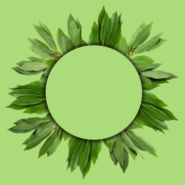 Defne yapraklarının yaratıcı tasarımı bir not kartıyla birlikte. Düz yatıyordu. Doğa konsepti.