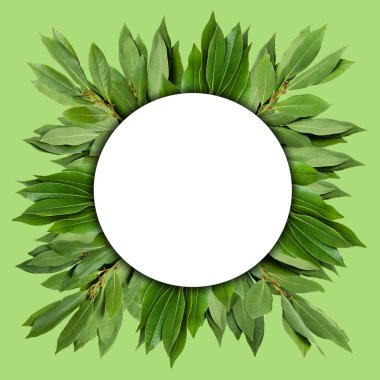 Defne yapraklarının yaratıcı tasarımı bir not kartıyla birlikte. Düz yatıyordu. Doğa konsepti.