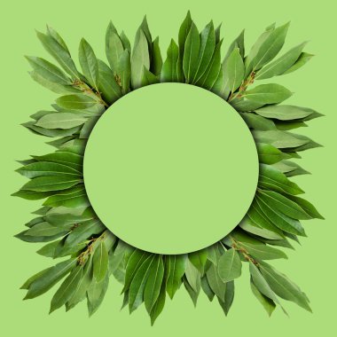 Defne yapraklarının yaratıcı tasarımı bir not kartıyla birlikte. Düz yatıyordu. Doğa konsepti.