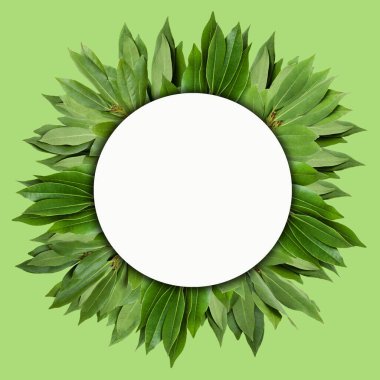 Defne yapraklarının yaratıcı tasarımı bir not kartıyla birlikte. Düz yatıyordu. Doğa konsepti.