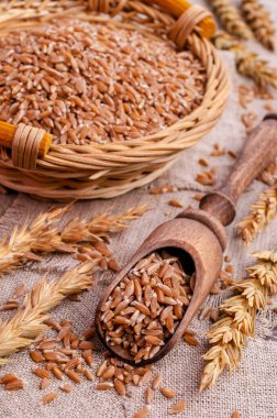 Esmer kabuklu buğday ezmesi ve tekstil arkaplanı. Sağlıklı beslenme kavramı. Seçici odak.