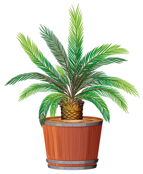 Illustration Une Plante Qui Pousse Pot — Image vectorielle